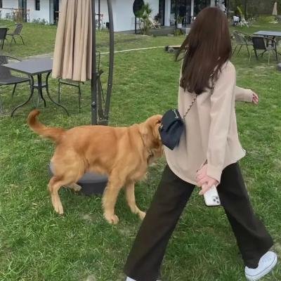 陪护一小时